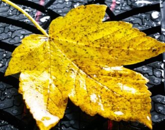 All-Season Tires Near Me in Grapevine & Keller, TX